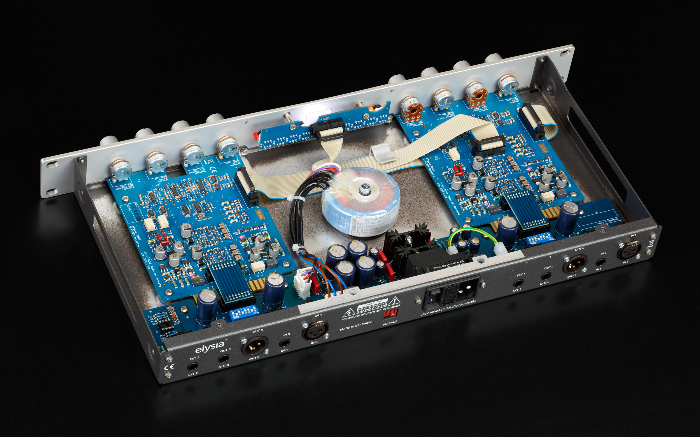 Elysia nvelope Elysia nvelope