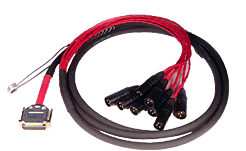 Avid DB25-XLRM DigiSnake 12' Avid DB25-XLRM DigiSnake 12'