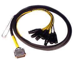 Avid DB25-XLR M+F AES/EBU DigiSnake 12' Avid DB25-XLR M+F AES/EBU DigiSnake 12'