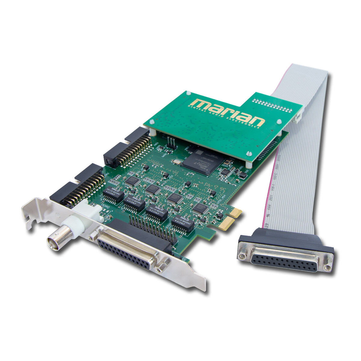 MARIAN Clara Dmaj MARIAN Clara Dmaj