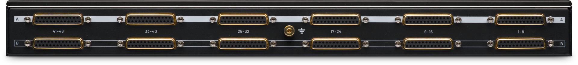 Black Lion Audio PBR TT Black Lion Audio PBR TT